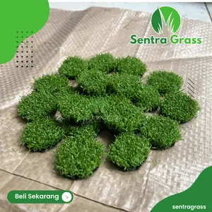 10 Pcs Moss Sintetis Daun Bonsai Aquascape - Daun Bonsai Mini