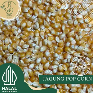 Jagung Popcorn/Jagung Brondong Packing Vacuum/ Kualitas Import USA