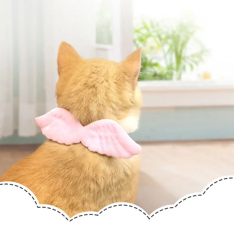 Pet Neck Strap Adjustable Cat Collar Dog Collar With Bell Ca - TikTok ...