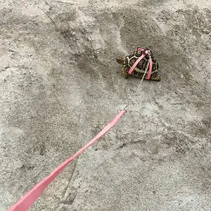 Pet Training Leash Gerbil Cage Cotton Rope Harness Collar Hamster Turtle Traction Rope Small Pet Supplies Wholesale