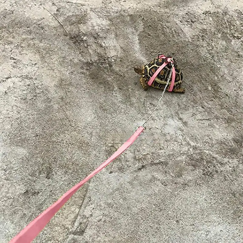 Pet Training Leash Gerbil Cage Cotton Rope Harness Collar Hamster Turtle Traction Rope Small Pet Supplies Wholesale