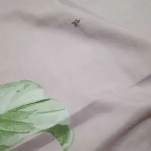 MOMO HOUSE Bra Menyusui Bh Menyusui breastfeeding bra ibu hamil Nursing Bra Katun Bayi