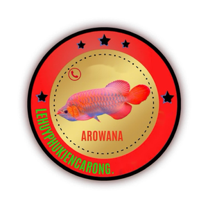 Phụ Kiện Cá Rồng Lê Huy