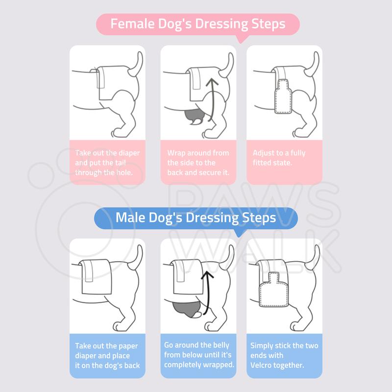 Product Introduction of 【 Fast delivery 】PawsWalk Dog Diapers - High Absorption for Pet Care disposable male 37