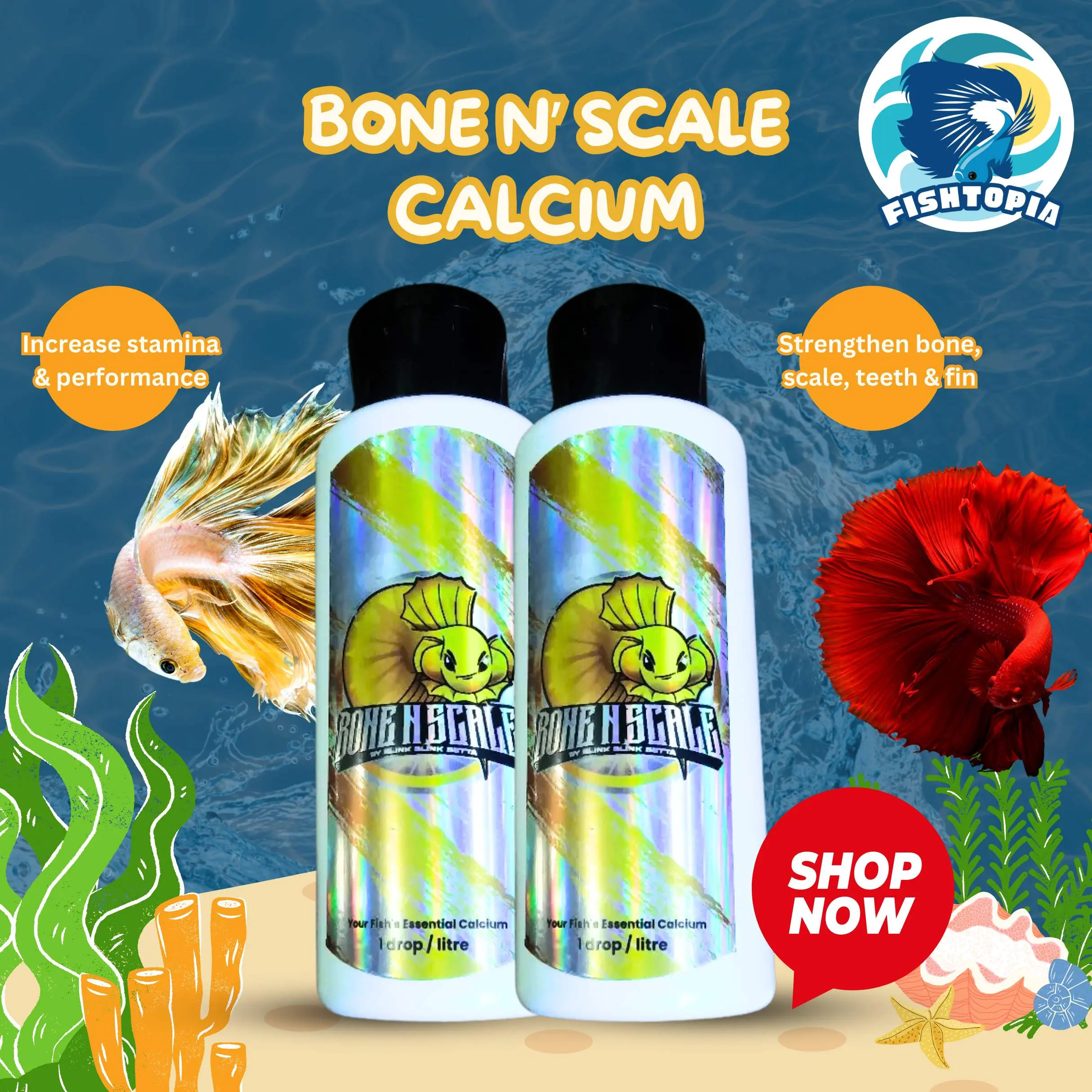 Bone N Scale Calcium | Betta Fish Calcium Supplement | Kalsium Suplemen Ikan Cupang Kontes Original Anti Stress Strengthen Bone Scale Teeth Fin Maintain Strong Form Finnage Increase Betta Fish Stamina Performance
