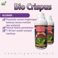Gambar BIO CRISPUS PENGENDALI DAUN KRITING & GEMINI PADA DAUN dari kampungputraagro Kota Salatiga 5 Tokopedia