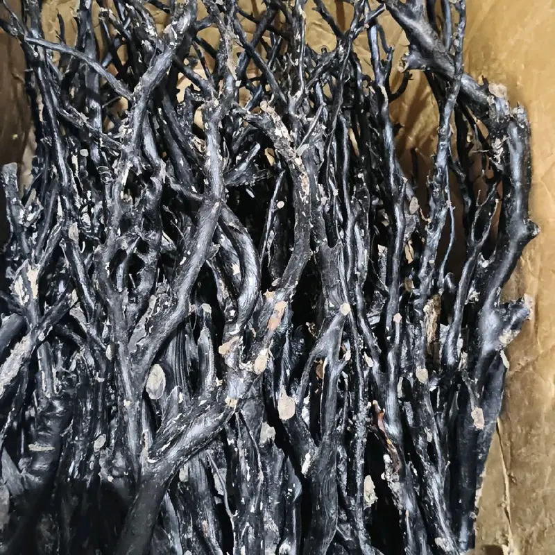Bahan akar bahar hitam lentur kualitas super batang rata,padat dan berserat. 0