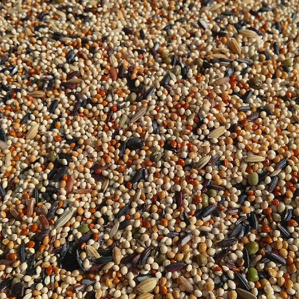 Mix Perkutut Super Gacor Premium Repack 1kg - Makanan Burung Berkualitas Tinggi