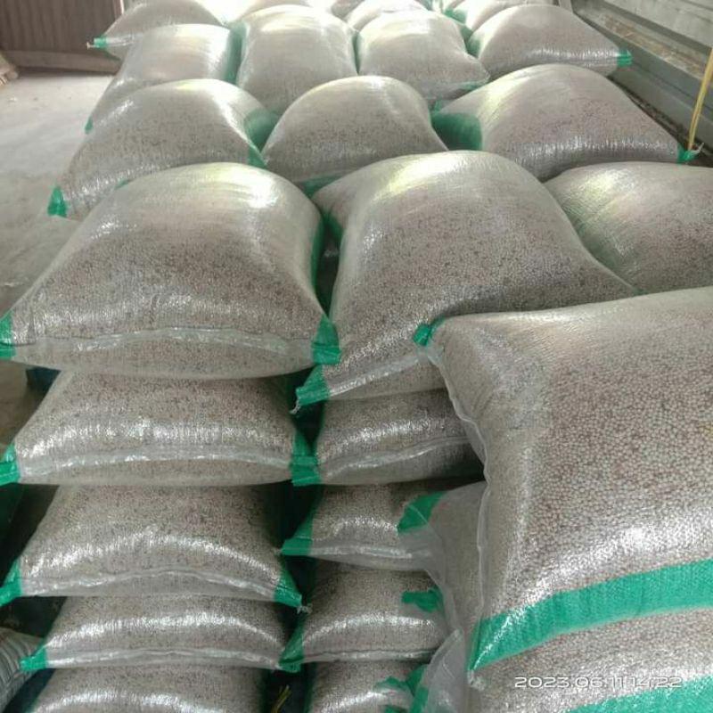 1 KG BIJI SORGUM BIOGUMA - BENIH SORGUM BIOGUMA BERKUALITAS 2