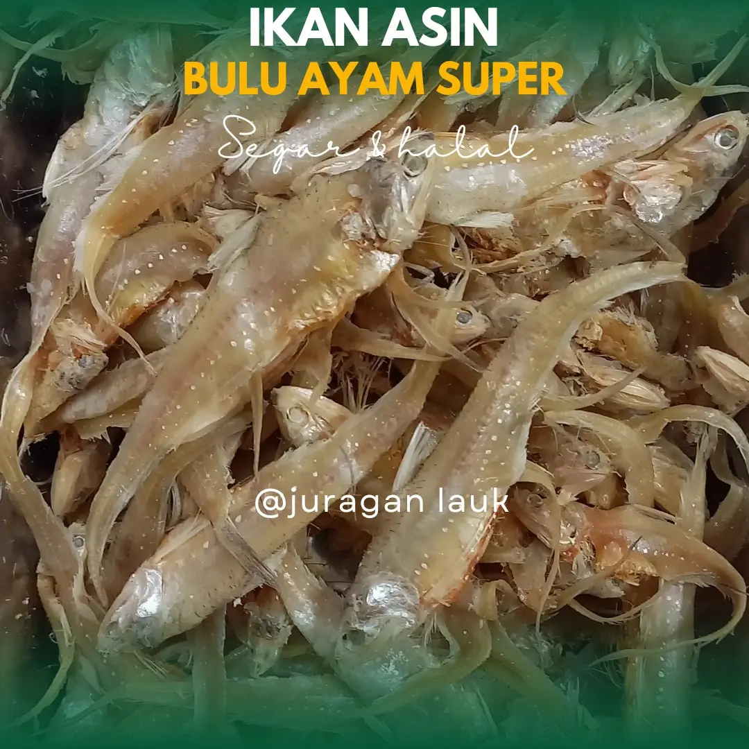 bulu ayam asin ikan asin segar termurah kualitas terbaik Food Frozen Meat Seafood Masakan