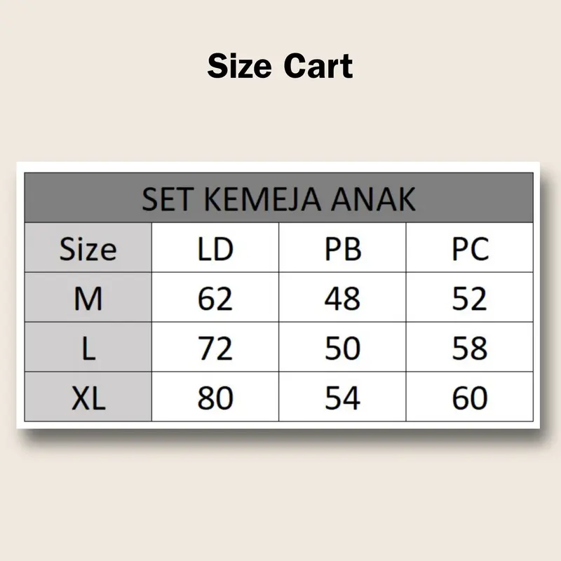 [3 in 1] Setelan Kemeja Anak Plus Topi Usia 3-8 Tahun 4