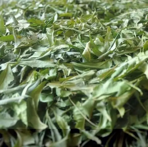 Daun mimba kering 1 kg,mimbo