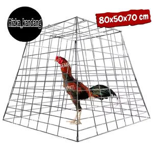 kandang ayam piramid ukuran 80x70x50cm