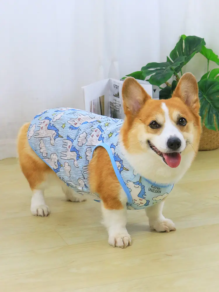 Pet dog clothing Thin Spring and Autumn hair prevention Corgi Tibby Bear Shiba Inu small dog cute summer vest