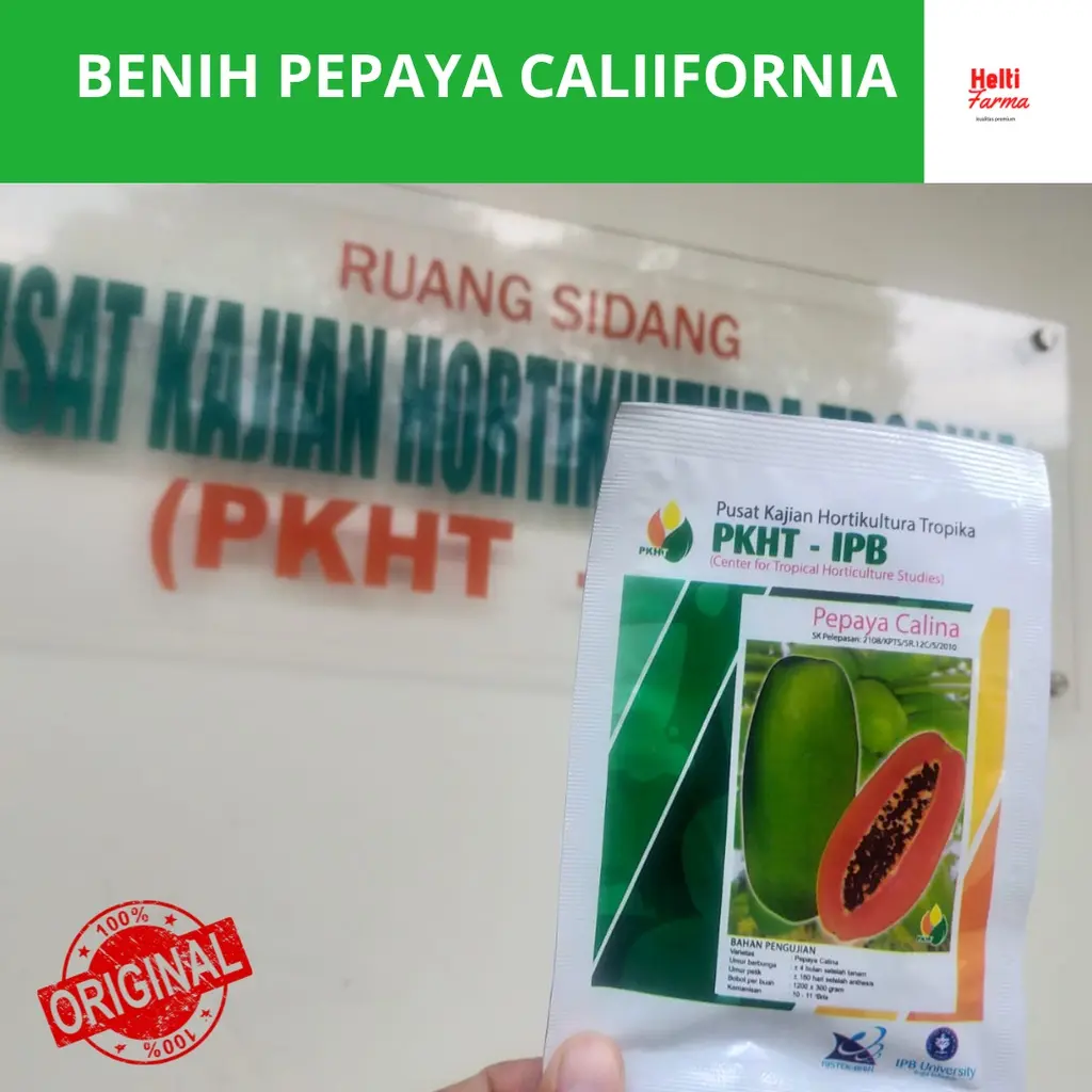 [READY] Benih Pepaya California/Calina IPB 9 isi 250 biji inovasi PKHT IPB Bogor