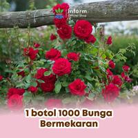 Gambar INFARM - Pupuk Organik Cair Bunga 500ml, Anti Rontok dan Merangsang Bunga Lebih Mekar dari Infarm Kota Surabaya 4 Tokopedia