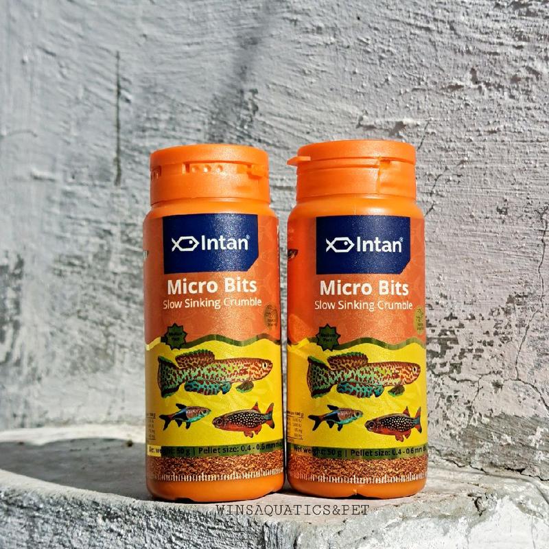 INTAN MICRO BITS for Danio, rasbora and etc. - TikTok Shop Malaysia