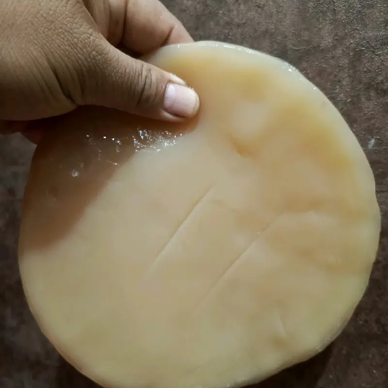 Scoby Kombucha Reseller isi 5 Scoby ukuran lebar +- 20×12×0.5cm, bisa memproduksi teh kombucha sebanyak +-20Liter dalam sekali proses, GARANSI 100% diganti baru jika proses pembuatan scoby gagal, berjamur atau tidak berkebang biak..BUKTIKAN !! 3