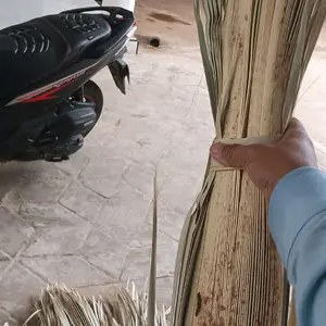 satu ikat/pucuk daun lontar khusus kerajinan