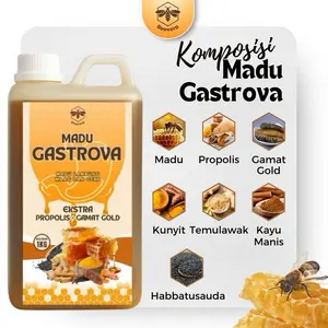(Spesial 1KG) Madu Gastrova Madu Lambung Maag Gerd Herbal Asam Lambung Magh Kronis Anxiety Perut Kembung Mual BeeVora