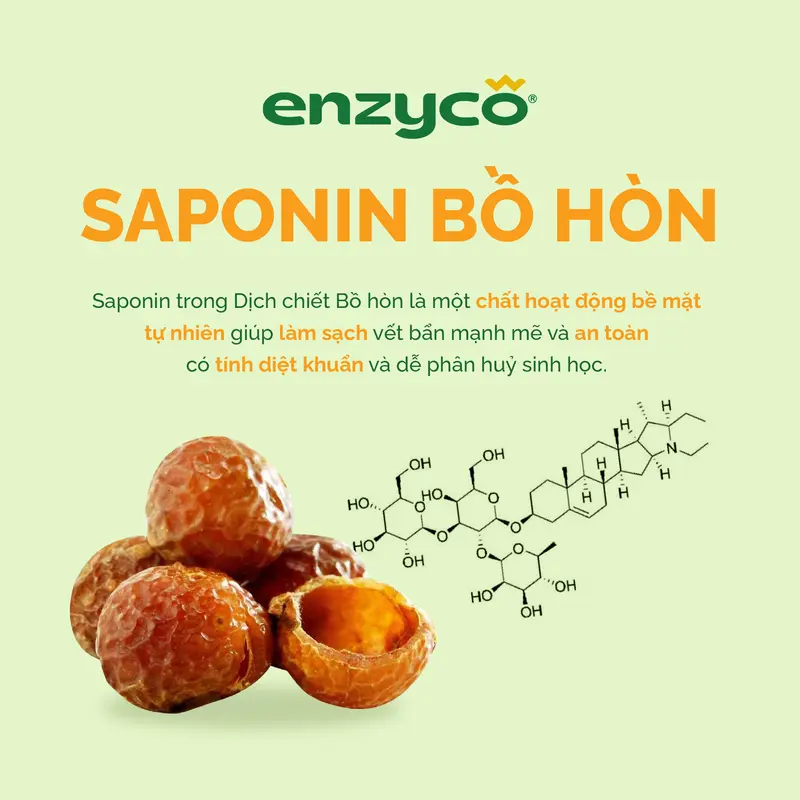 Nước rửa chén bát sinh học ENZYCO 4L - Chiết xuất Bồ hòn và Enzyme Dứa - Hương thơm từ Tinh Dầu Gừng Ta Tự Nhiên 4