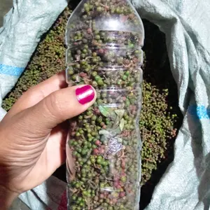 Bisa COD,Andaliman,ittir-ittir,Tuba 250 gram