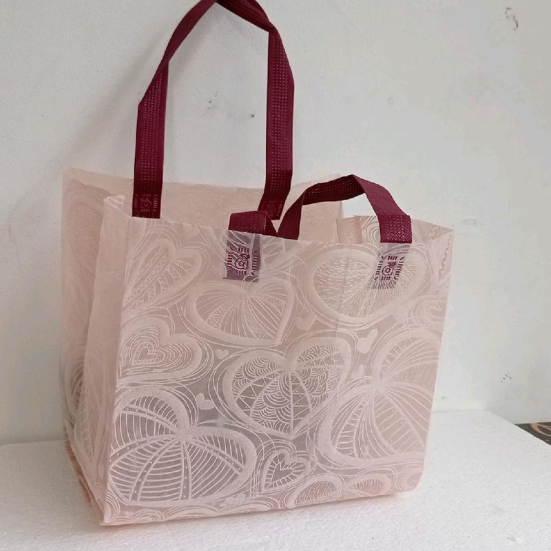 (ISI 6 PCS) Tas Goodie Bag Spundbond Tas Aqiqah Nasi Box Tas Berkat Hajatan Kotak Nasi 22x22 Tekstur 24x24x24 4