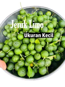 Jeruk Limo Kecil ( cocok buat yg jualan buat sate, seblak, baso, ikan bakar dll) rempah