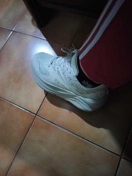 Product Review of SEPATU RUNNING SNEAKERS ORTUSEIGHT BERLIN ORIGINAL from D**i 0