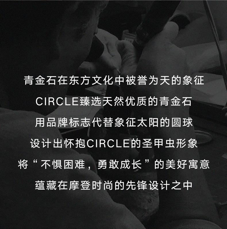Product Introduction of Circle Scarabe Brooch For Women Daily Party 3