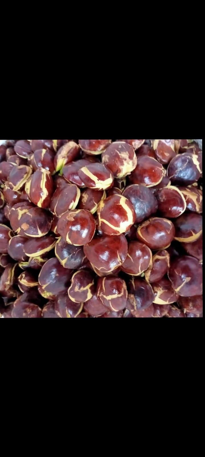 Product Introduction of Timbangan isi jengkol 1kg segar dan fres Masakan Makanan Kering Kitchenware buah kering asam potong medan Snack Food 6