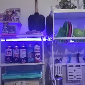 BERAS PREMIUM PINPIN SANIA 5KG PULEN ENAK