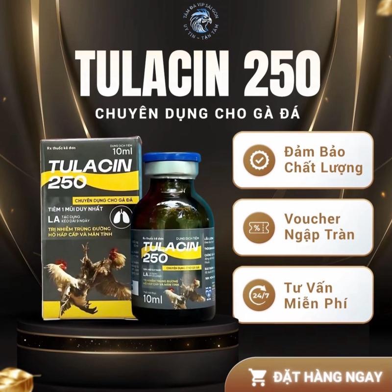  Tulacin 250 20ml - Thuốc chuyên trị khò khè sổ mũi sưng mặt tụ huyết trùng cho gà 20ml Tiêm 1ml duy nhất Tiết kiệm thời gian và chi phí 