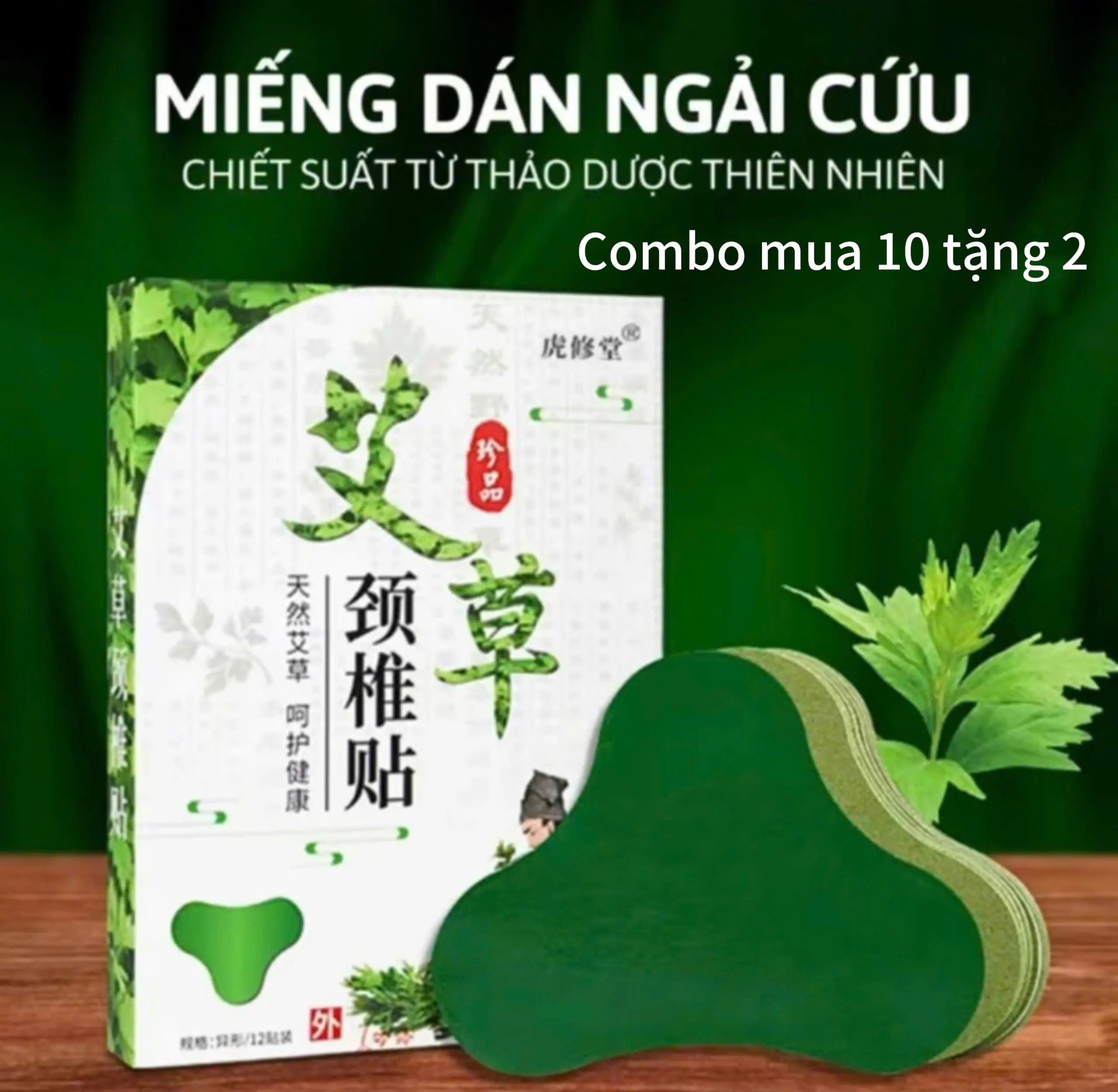 ( Mua 10 Tặng 2 ) Hộp 12 Miếng Dán Ngải Cứu Cổ-Vai-Gáy , Chiết Suất Từ Thảo Dược Thiên Nhiên