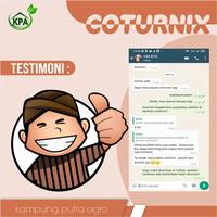 Gambar OBAT UNTUK MENINGKATKAN PRODUKSI TELUR PUYUH - COTURNIX BIO VIT 1LITER dari kampungputraagro Kota Salatiga 4 Tokopedia
