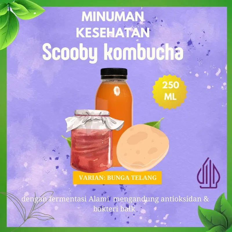 Minuman  Kombucha Varian Bunga Telang terbaik 250 ML Tea 0