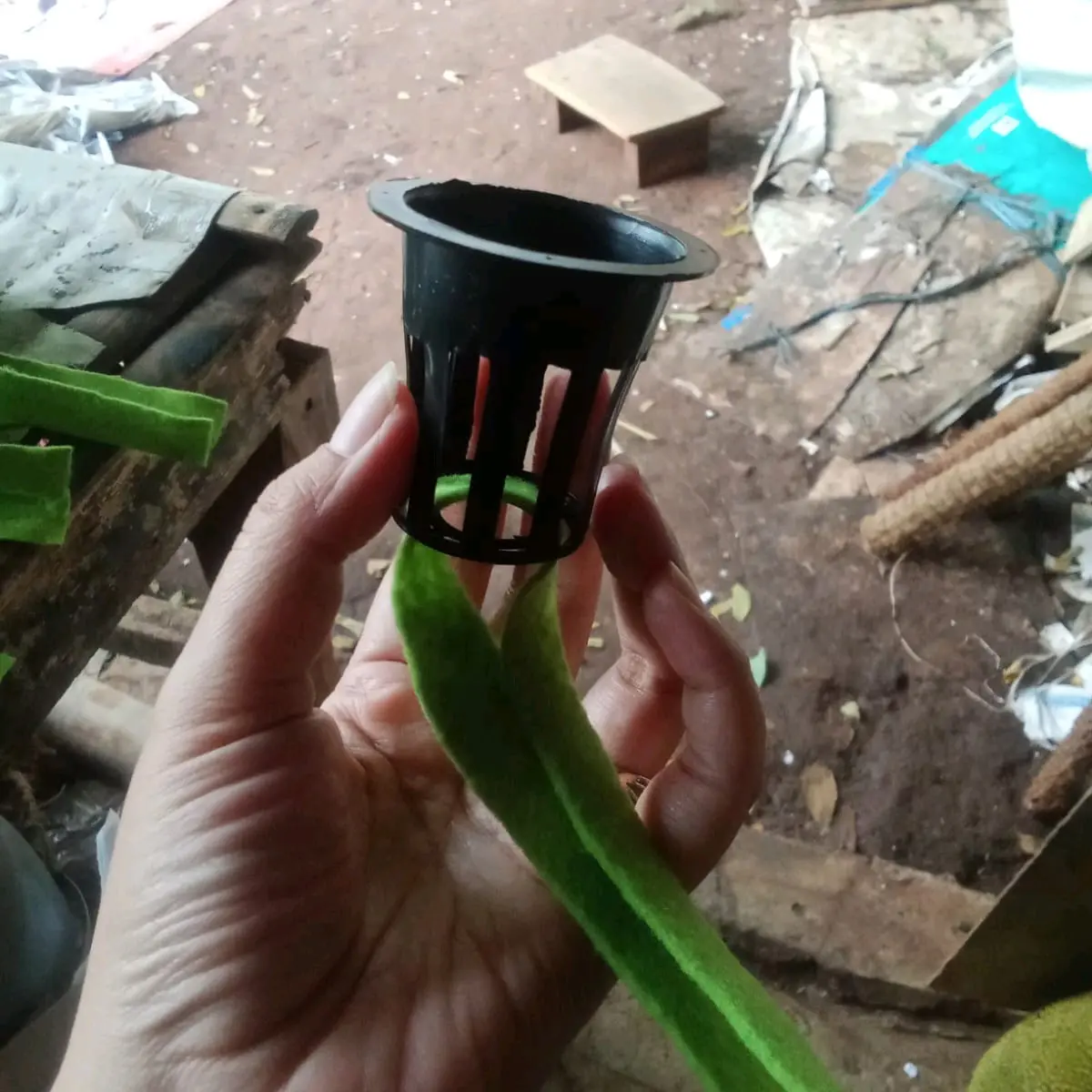 Pot Net dan Kain Flanel untuk Sistem Tanam Hidroponik dengan Ukuran Netpot 5Cm dan Panjang Kain 25Cm - Tanaman