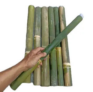 obor bambu jadul panjang 50 cm Tanah