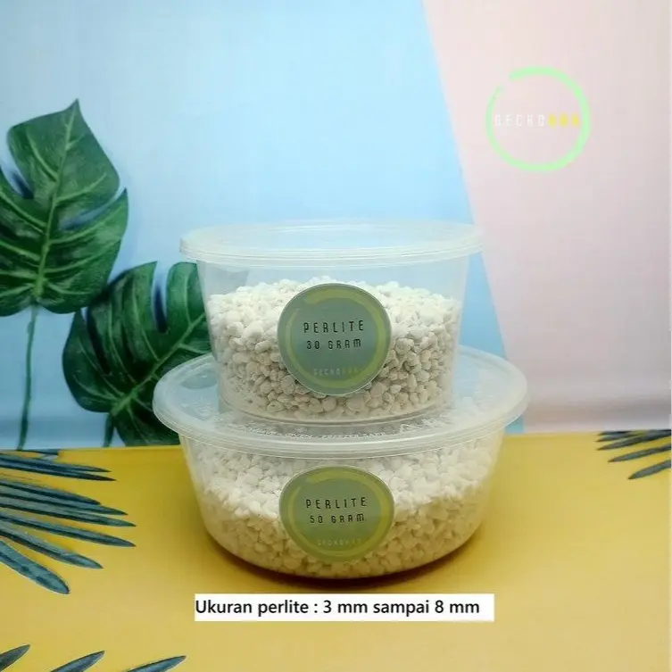 Perlite Media Inkubasi Telur Reptil Gecko