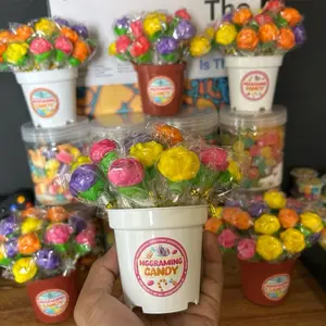 NGGRAMING CANDY pot bunga viral 20/pack Permen Food