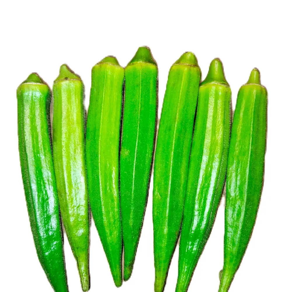 OKRA HIJAU FRESH BARU PETIK DARI POHON GRADE B sayur murah Segar Langsung dari Pohon Metode Packing Unik Keaslian dan Kesegaran Terjamin