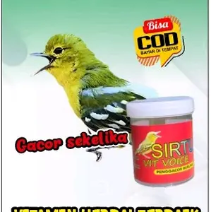 vitamin penggacor sirtu vit voice ( vitamin burung cipow gacor)