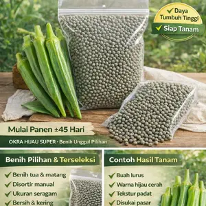 BENIH OKRA BIBIT OKRA , KACANG BENDI, LADYS FINGER