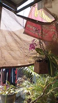 Product Review of Allieuka Paranet 90% Naungan Jaring/Jaring Naungan Coklat Luar Ruangan/Tenda Naungan Halaman Ruang Balkon from j**M 0