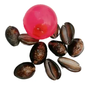 Set Bola Bekel Mainan Anak Tradisional Plus 10pc Biji Kerang Asli Toys - Permainan Tradisional Jawa Barat