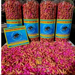 RAJA NYA PEMBASMI TIKUS WEROG LANGSUNG MATI DI TEMPAT