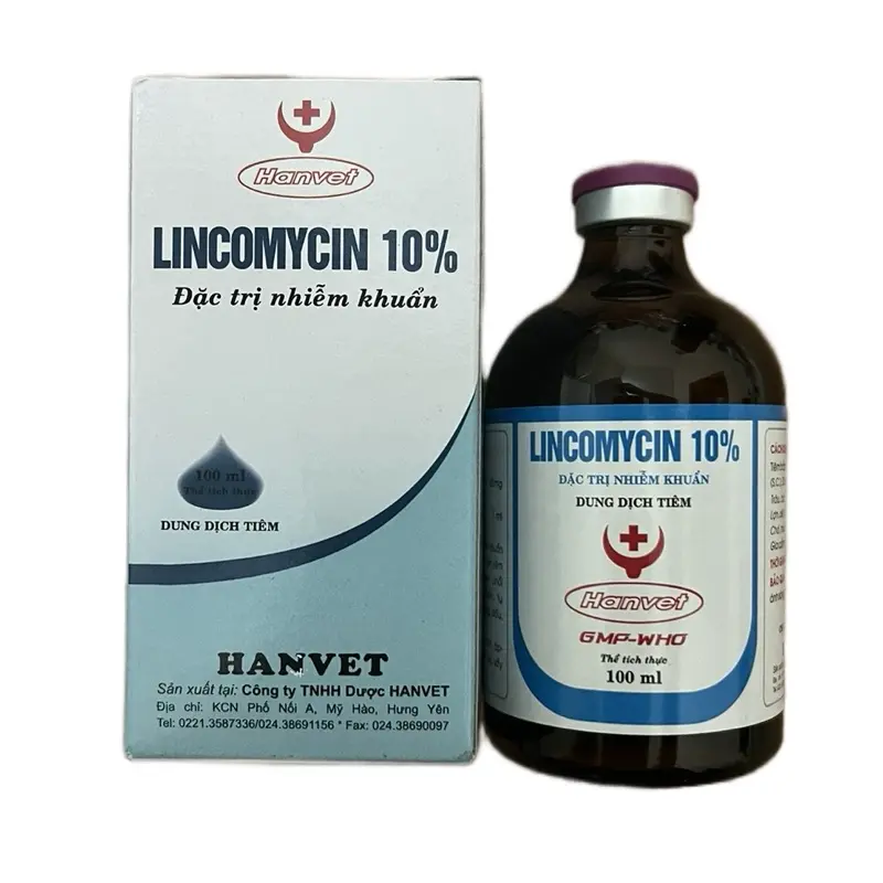 Lincomycin 10% cho Gà Chọi đặc trị nhiễm khuẩn, viêm khớp, sưng khớp, trị bị kén, tang hiệu quả cao ( lọ 100ml)
