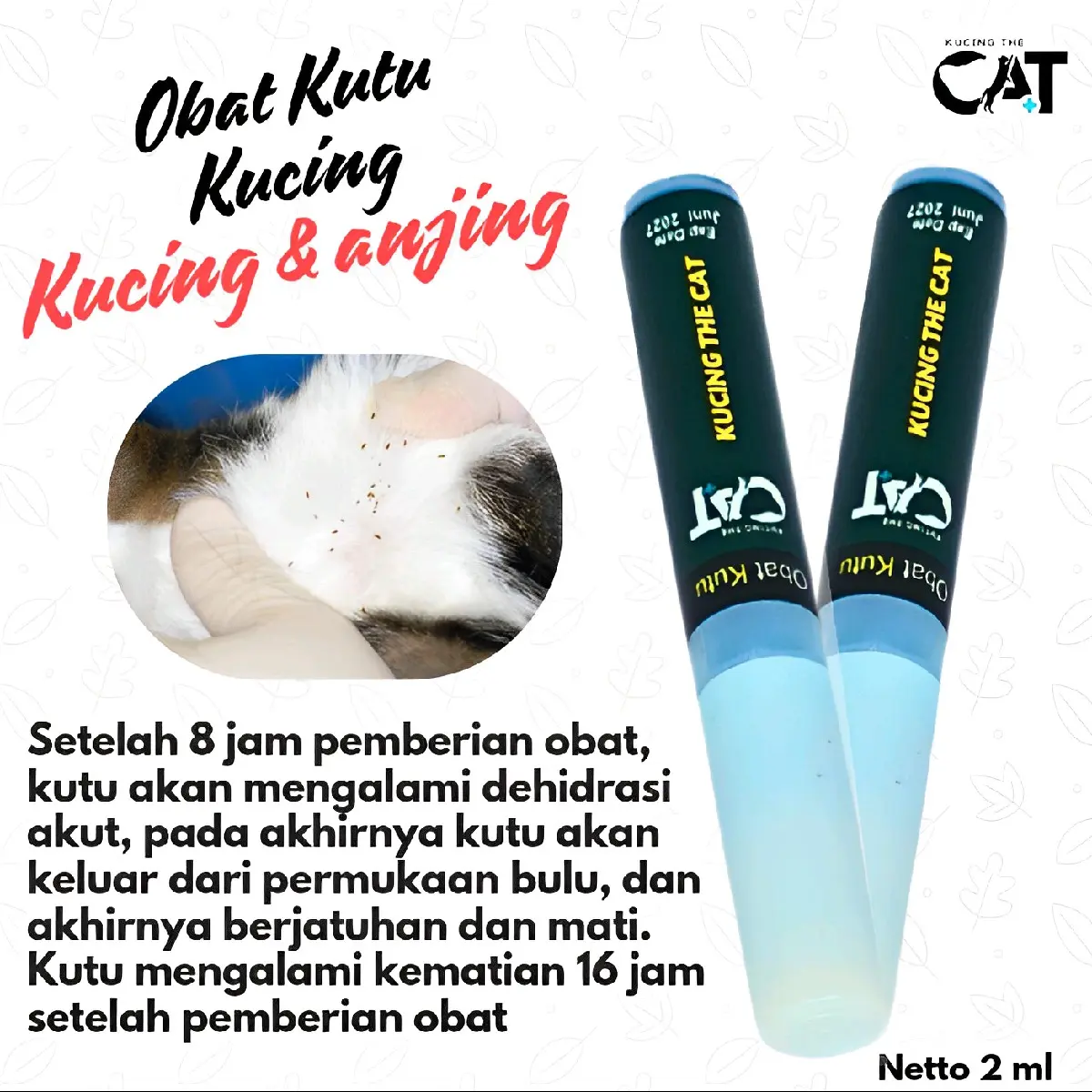 obat tetes kutu kucing anjing