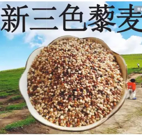 1KG Tri-color Quinoa Rice White Quinoa Rice