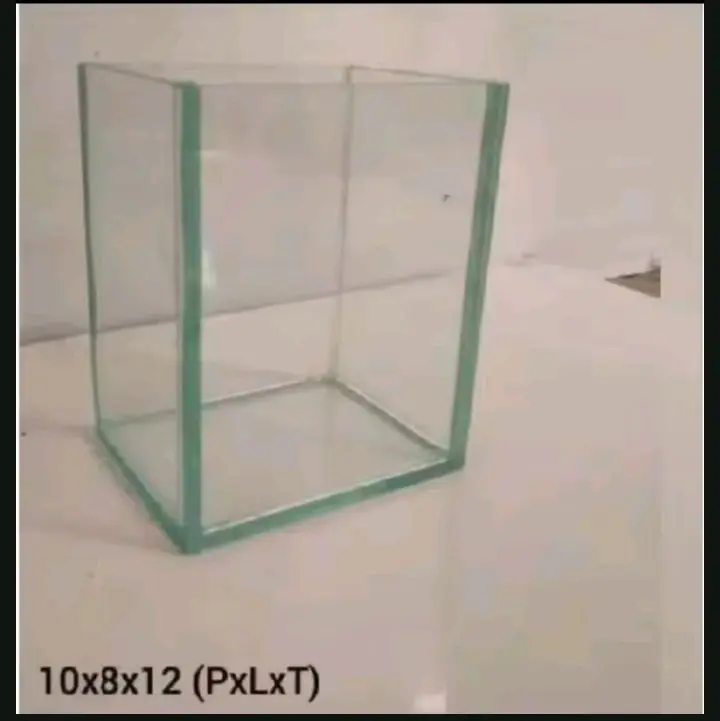Soliter Kaca Ikan Cupang Ukuran 10x8x12 - Brand XYZ 0